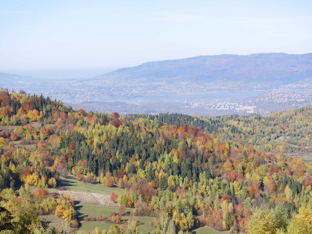 Apartamenty Przy Hotelu Zywieckim Przylekow Экстерьер фото